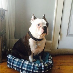 Meet your Posher, Lana